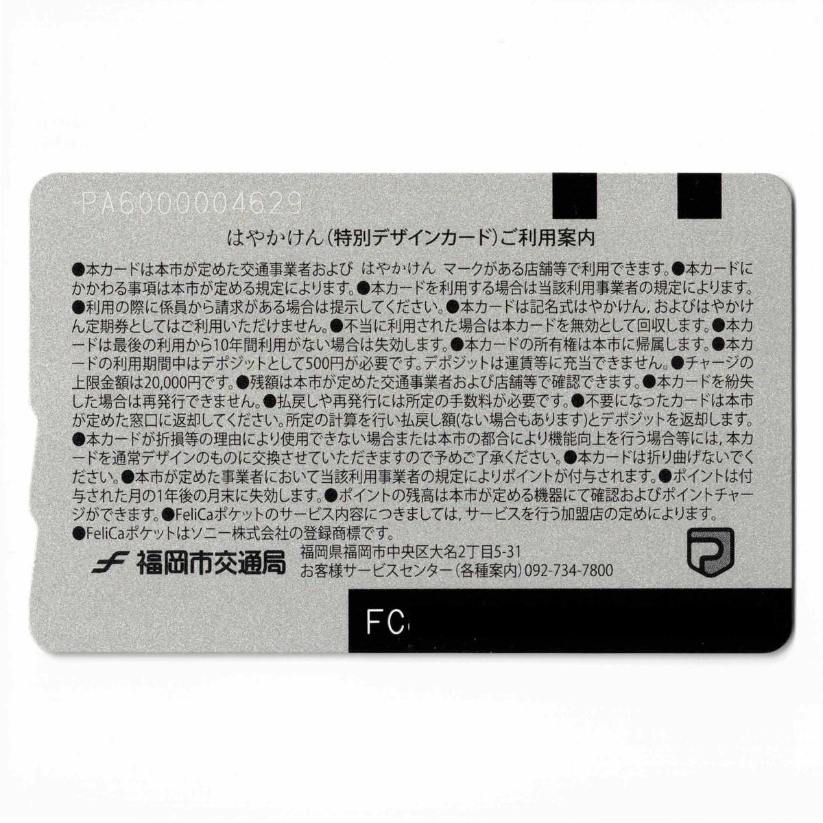 Fukuoka SoftBank Hawks Hayakaken (Hayakaken) 2018 Champion