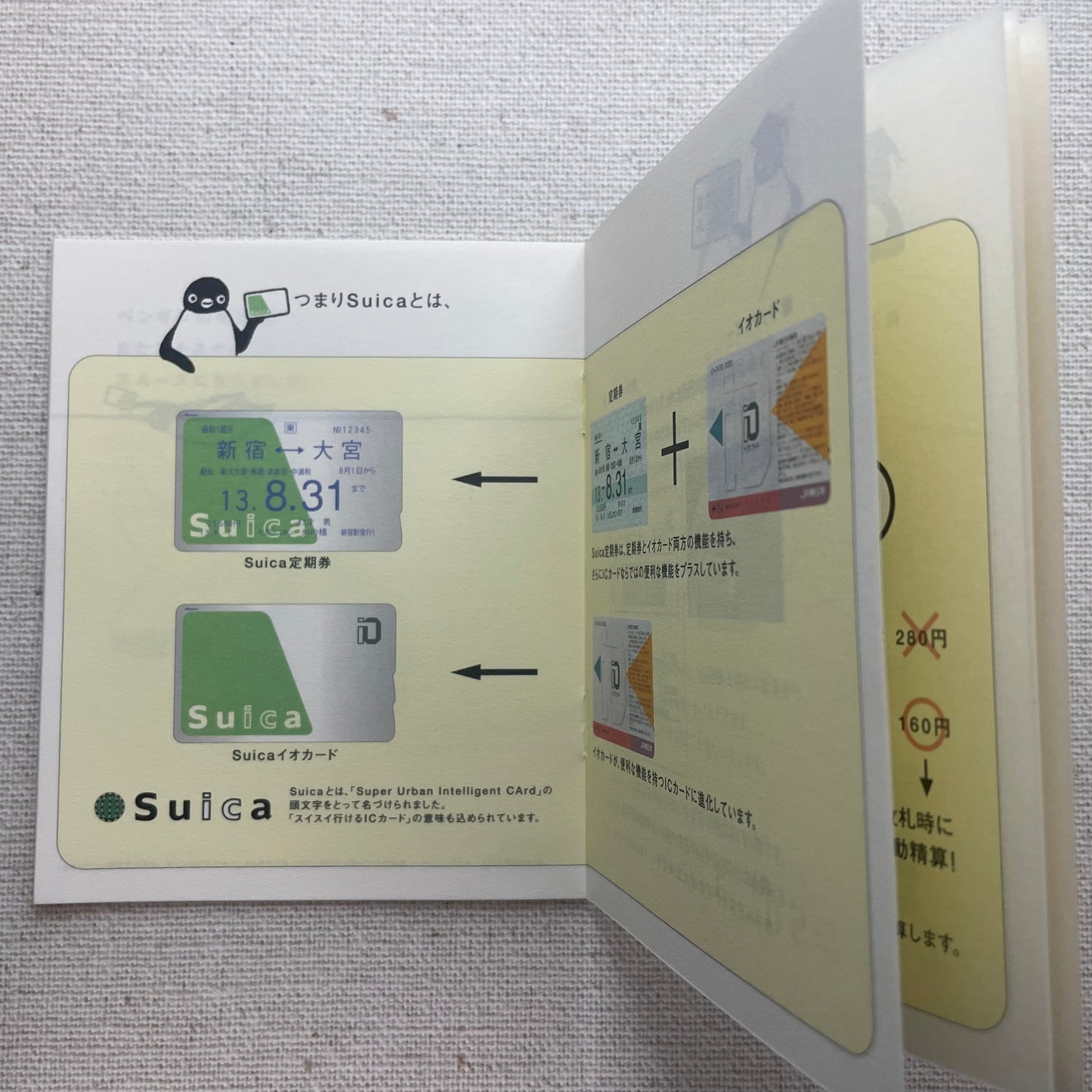 「スイカってなに?」(B)