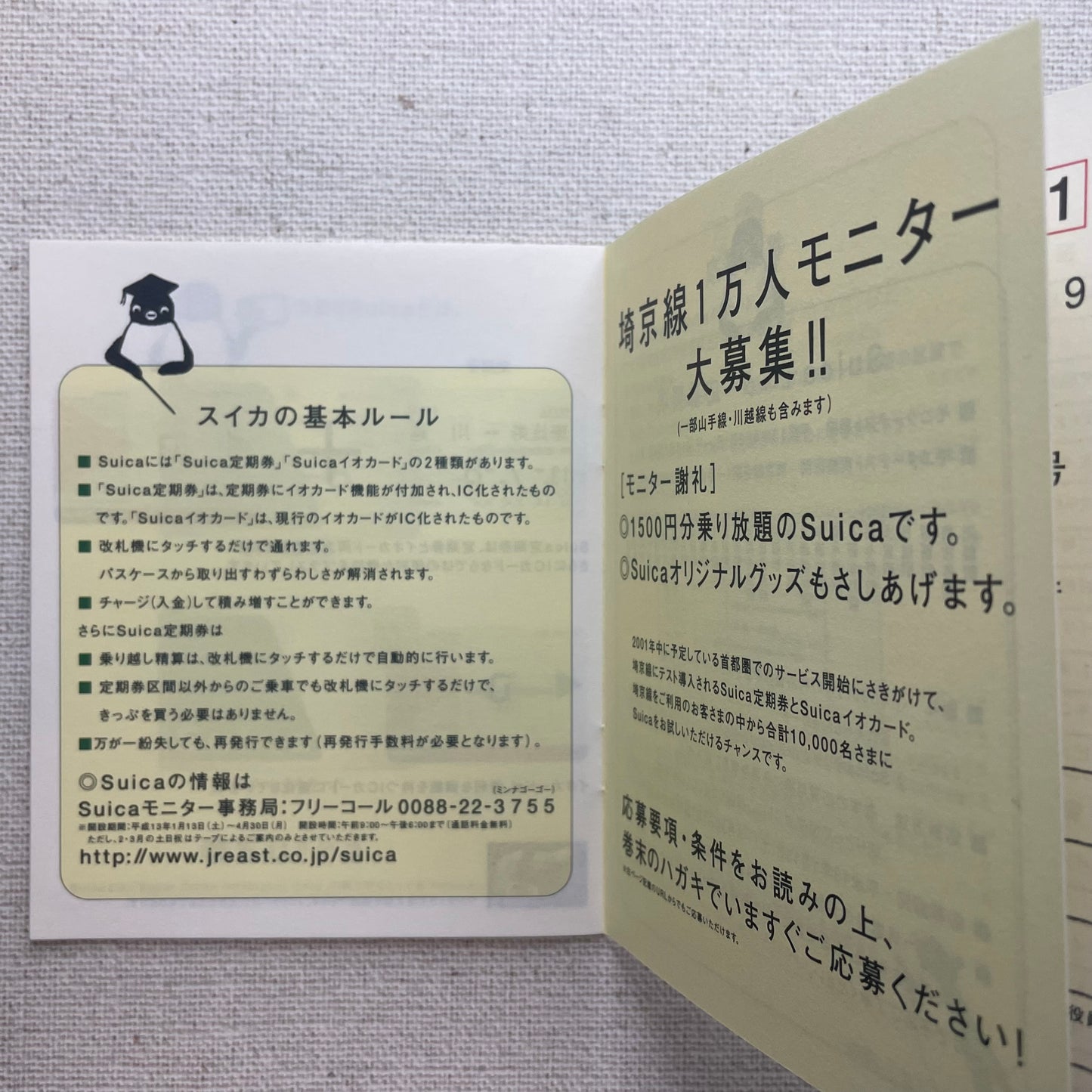 スイカってなに?(A)