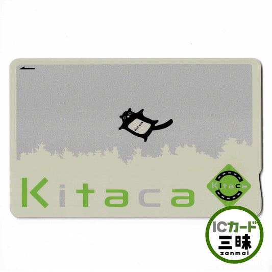 普通 Kitaca (Kitaca) 匿名西伯利亞飛鼠