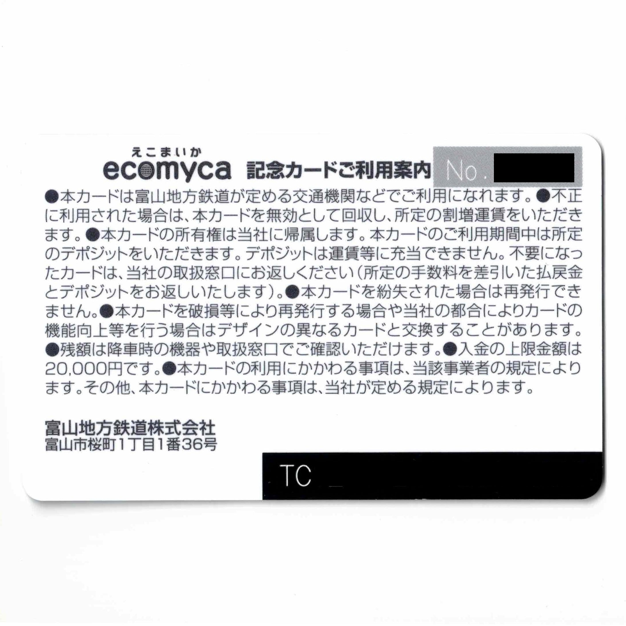 スタジオ地図 ecomyca（えこまいか） 細田守 おおかみこどもの雨と雪